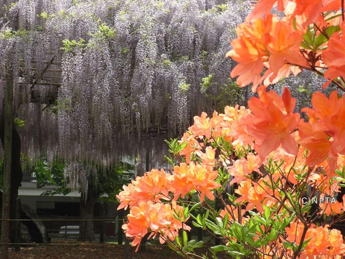 Le Grand Kyu Karuizawa Hotel Bagian luar foto